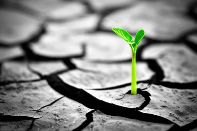 Illustration minimally