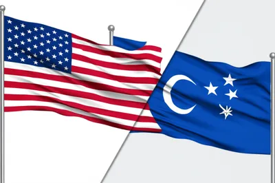 Illustration foreign - Image 1