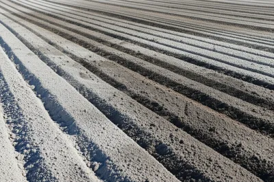 Illustration ash - Image 1