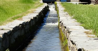 Illustration caul - Image 1