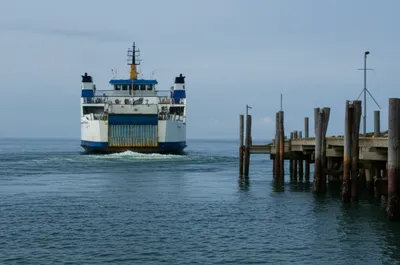 Illustration back - Image 1