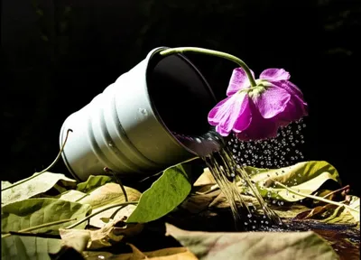 Illustration overdose - Image 1