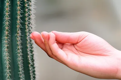 Illustration irritated - Image 1