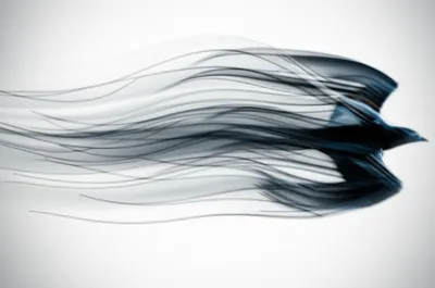 Illustration whooshes