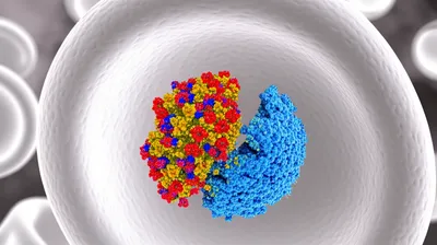 Illustration neutralizes - Image 1