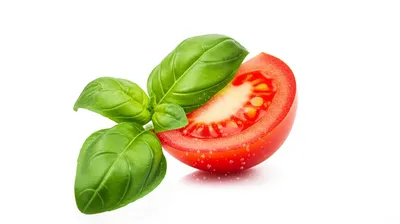 Illustration salt - Image 1