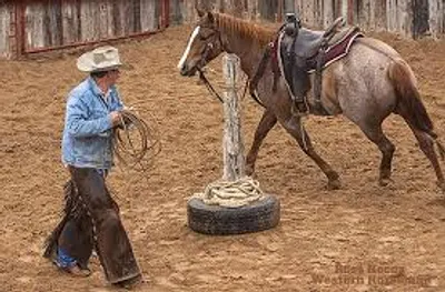 Illustration snub - Image 2