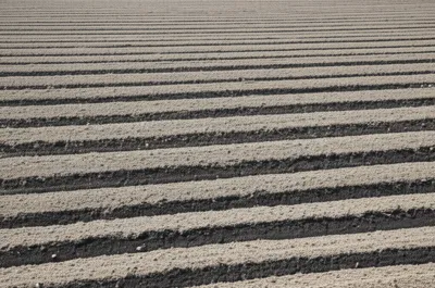 Illustration baulks - Image 1