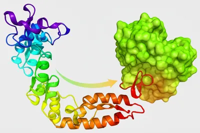 Illustration termination - Image 1