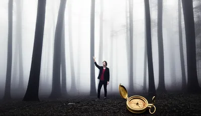 Illustration disorientation