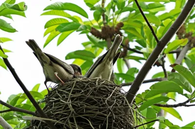 Illustration mate - Image 1