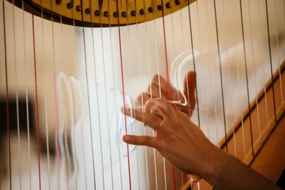 Illustration thrums - Image 1