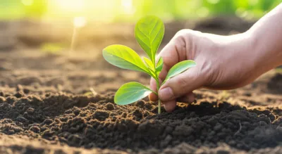 Illustration plant - Image 1