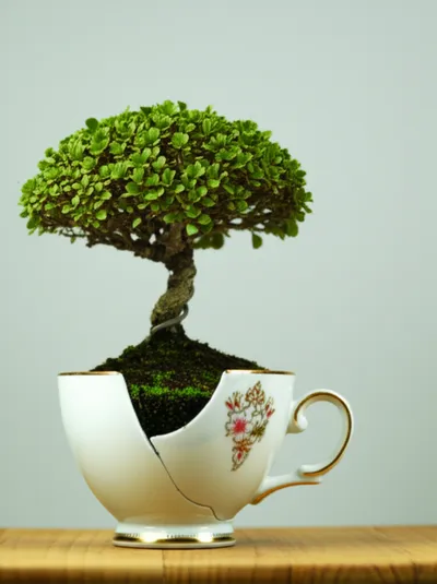 Illustration small - Image 1