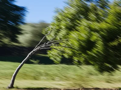 Illustration bowed - Image 1