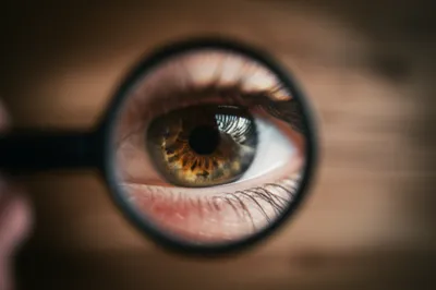 Illustration eyeglasses - Image 1