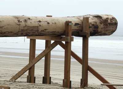 Illustration pallet - Image 1