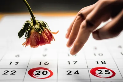 Illustration stays - Image 1