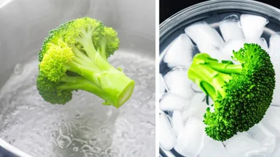 Illustration blanching - Image 1