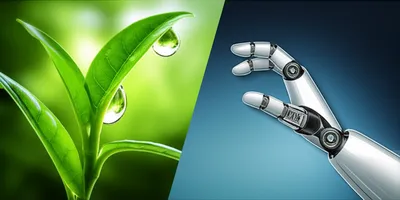 Illustration organic - Image 1