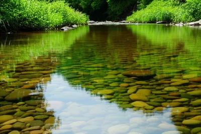 Illustration fluent - Image 1