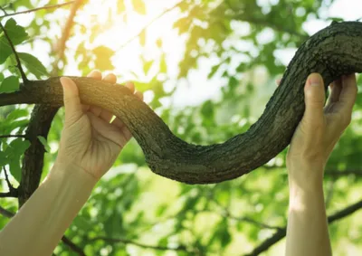 Illustration unbend - Image 1