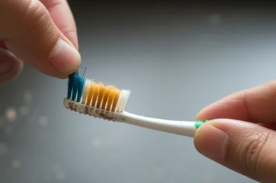 Illustration bristling - Image 1