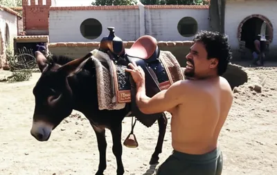 Illustration saddled - Image 1