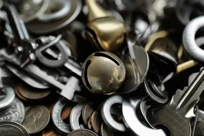 Illustration jangle - Image 1