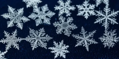 Illustration snowflakes - Image 1