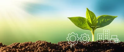 Illustration primers - Image 1