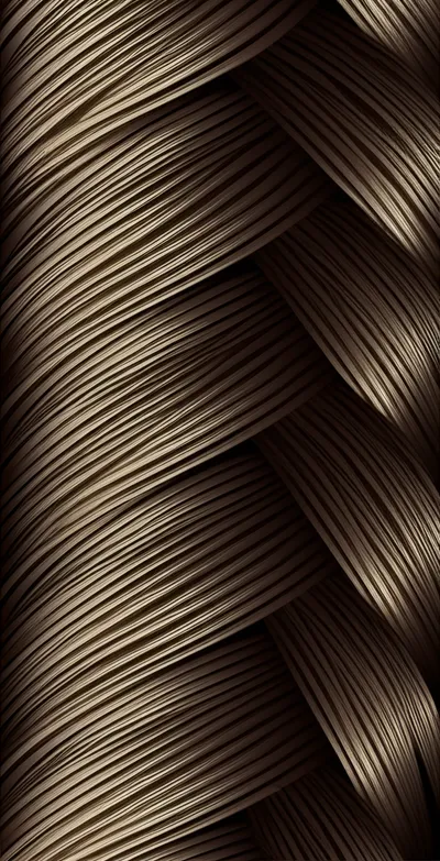 Illustration plait - Image 2