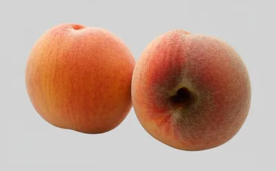 Illustration bruised - Image 1