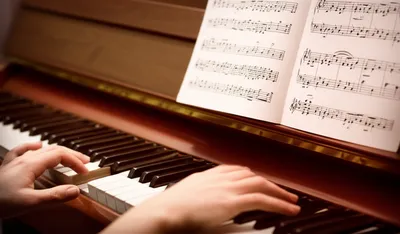 Illustration proficient - Image 1