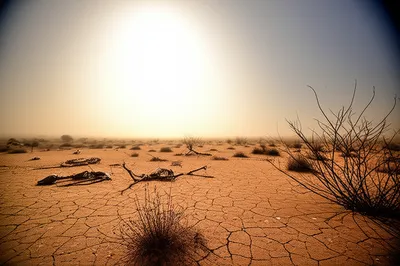 Illustration deserts - Image 1