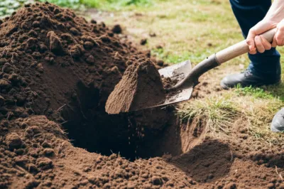 Illustration backfill - Image 1