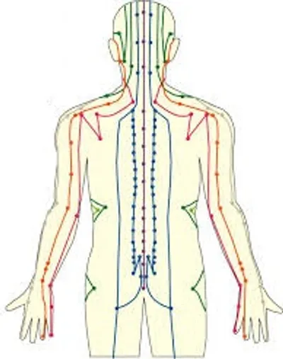 Illustration meridian - Image 2