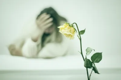 Illustration pips - Image 1