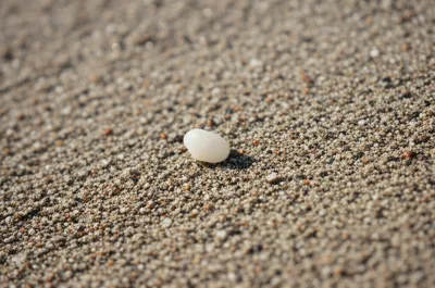 Illustration granules