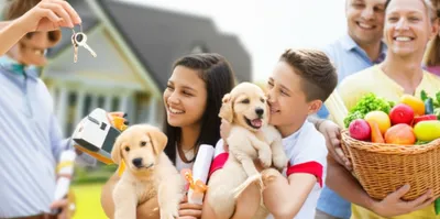 Illustration got - Image 1