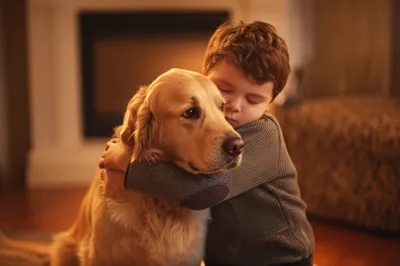 Hình ảnh minh họa snuggled