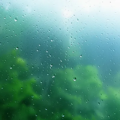 Illustration damp - Image 1