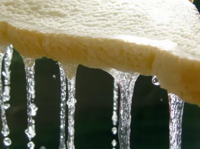 Illustration sodden - Image 1