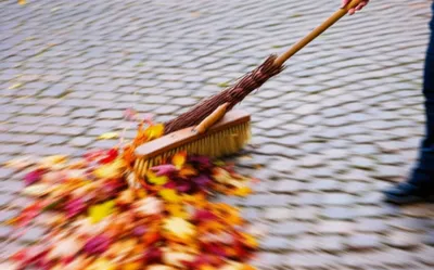 Illustration brush - Image 1