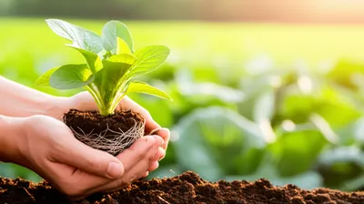 Illustration nourishing