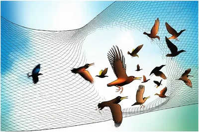 Illustration disband - Image 1