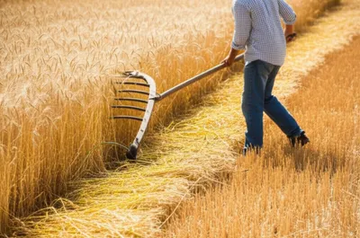 Illustration cradle - Image 1