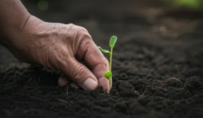 Illustration jess - Image 1