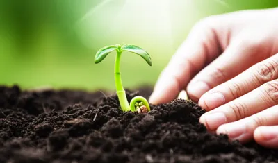 Illustration educe - Image 1