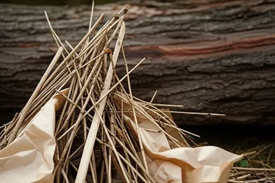 Illustration kindling - Image 1